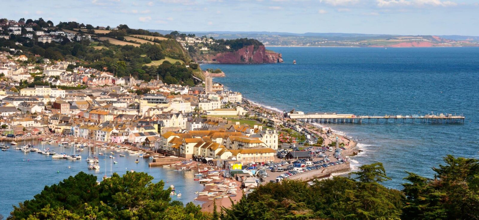 Teignmouth View